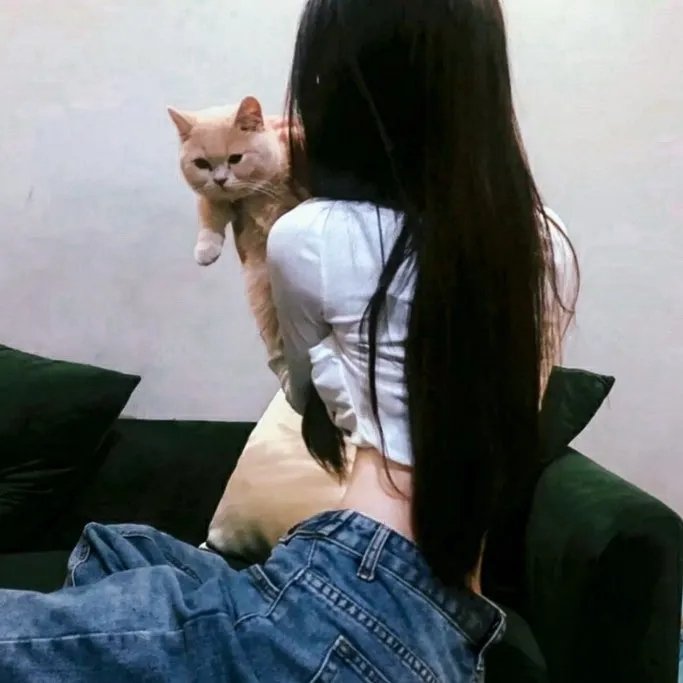 自由的语言