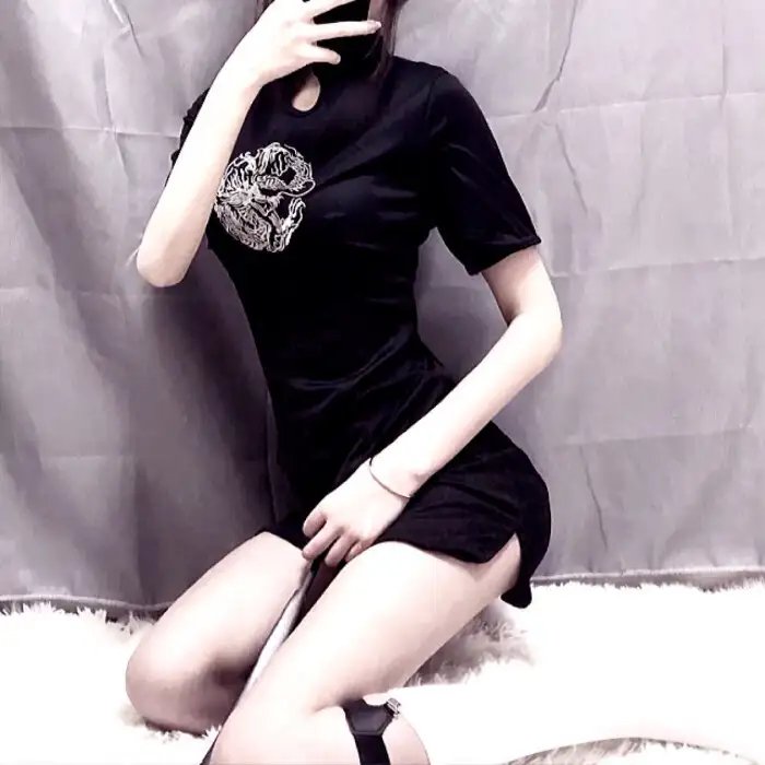 燕子盗